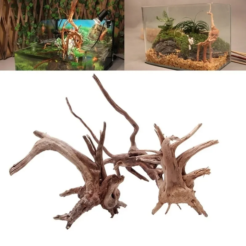 Aquarium Plant Live - ต้นไม้ธรรมชาติลำต้นไม้ดริฟท์วู้ดตู้ปลาตู้ปลาตู้ปลาตู้ปลาตู้ปลาที่รากกระบอกพืชไม้เครื่องประดับตกแต่งสำหรับพืชในตู้ปลา