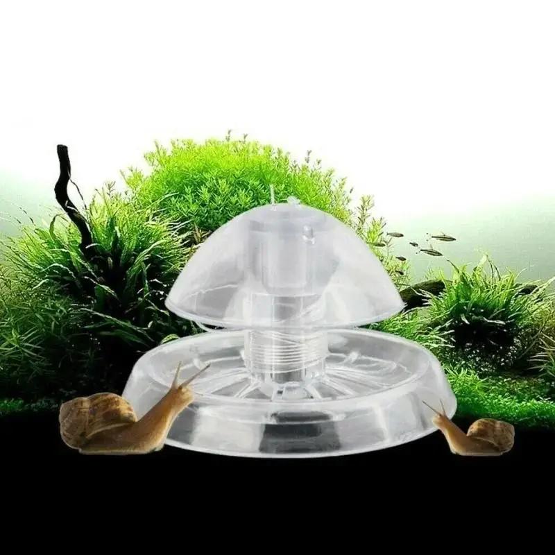 Planted Aquarium With Fish - กับดักหอยทากพลาสติกใสขนาด 6/8 ซม. รุ่นใหม่ ปี 2026