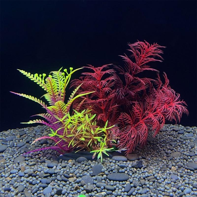 Aquarium Plants For Sale - ต้นไม้ประดับตู้ปลา ของตกแต่งตู้ปลา จำลองพืชในน้ำ ของประดับตกแต่งตู้ปลา ขายดีที่สุด