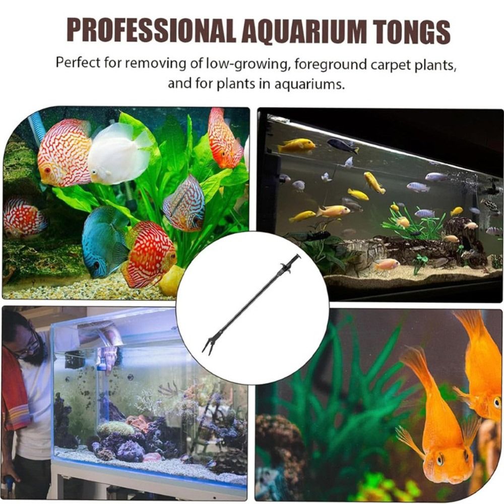 Non Planted Aquarium Fish - แหนบพลาสติกสำหรับตู้ปลา ขนาด 50 ซม. สีดำ ดีไซน์แบบกรงเล็บ