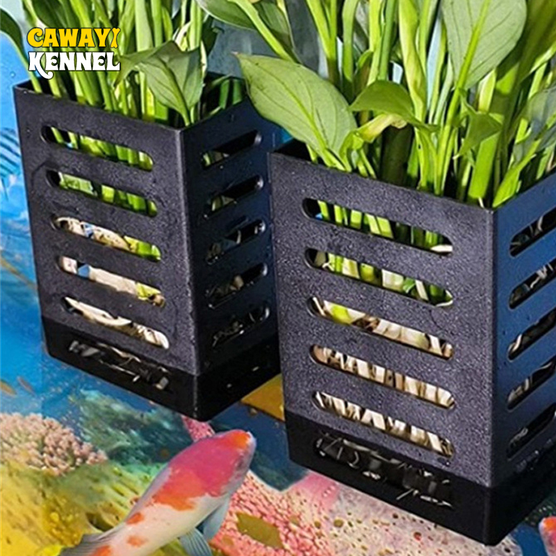 Aquarium Plant Live - สัตว์เลี้ยงตกแต่งถังปลา Aquarium ยืน Adsorbable Hydroponic Plant