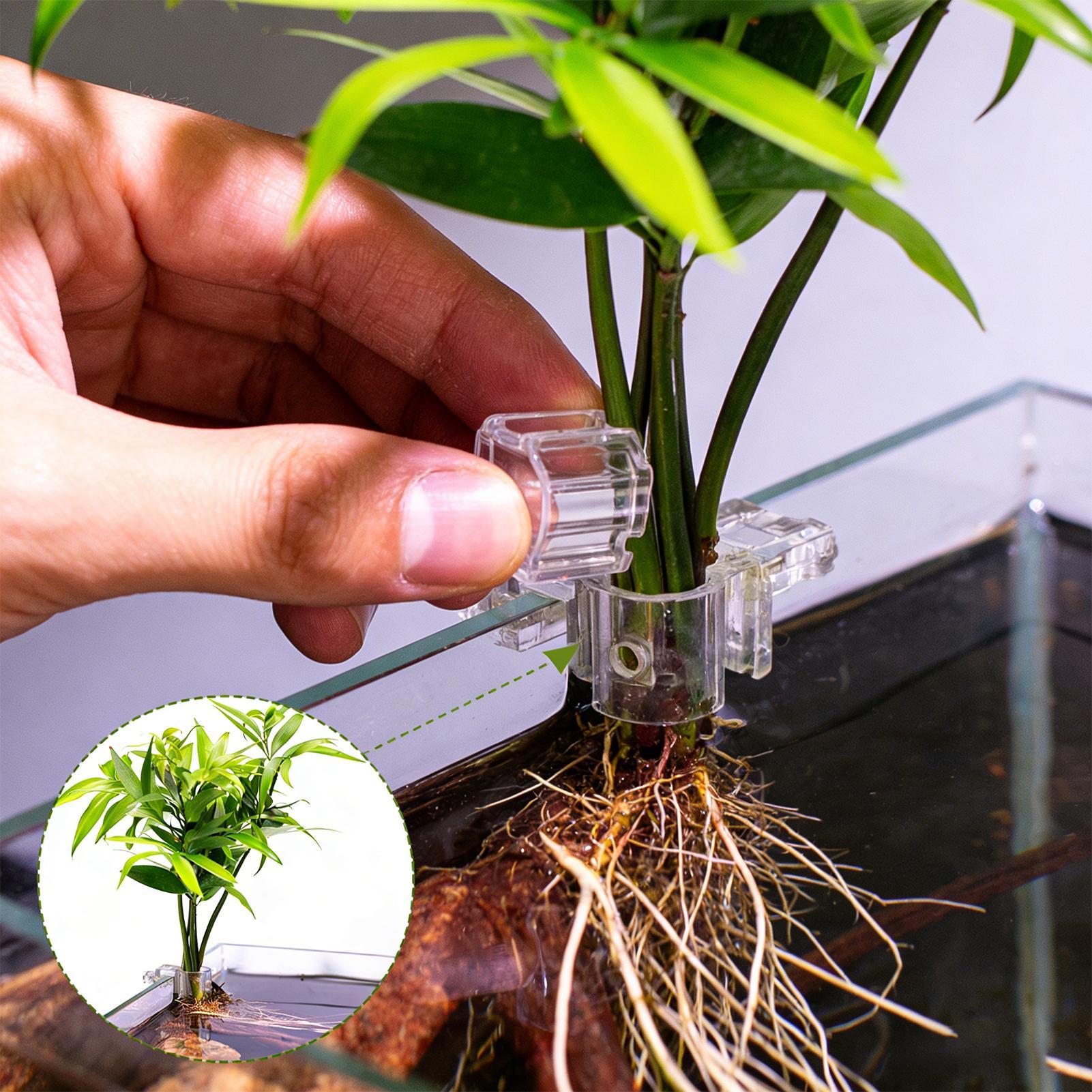Aquarium Plant Live - ที่แขวนต้นไม้ในตู้ปลาแบบใส 6 ชิ้น ถ้วยปลูกต้นไม้แบบแขวนสำหรับตู้ปลา สำหรับปลูกพืชในบ้าน