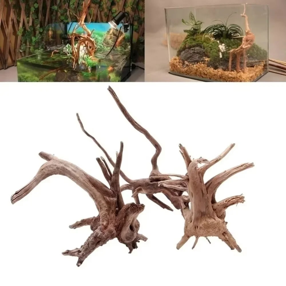 Aquarium Planting Ideas - ไม้ลอยน้ำธรรมชาติขนาด 15-20 ซม. สำหรับตกแต่งตู้ปลา - ของตกแต่งตู้ปลาคุณภาพพรีเมียม