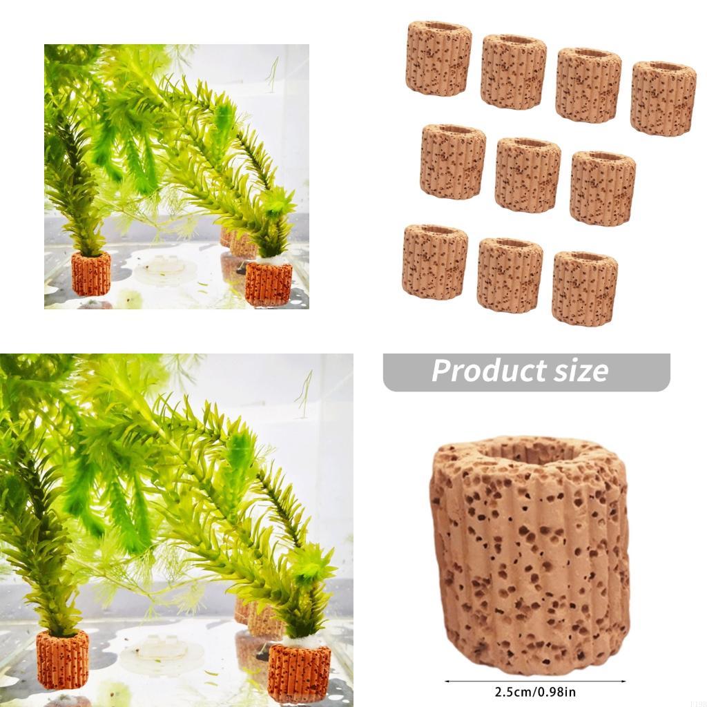 Emersed Plants Aquarium - F19B พิพิธภัณฑ์สัตว์น้ำผู้ถือพืชเพาะเลี้ยงสัตว์น้ำถ้วยสำหรับถังปลา Aquarium Decors ถ้วยเดียว