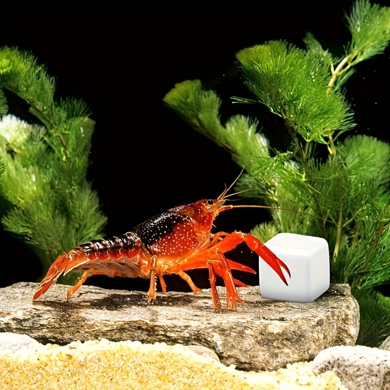 Aquarium Plant Live - บล็อกแคลเซียมสำหรับตู้ปลา 6 ชิ้น แร่ธาตุสำหรับตู้ปลา ลูกบาศก์สำหรับสัตว์เลื้อยคลาน หินสำหรับเต่า