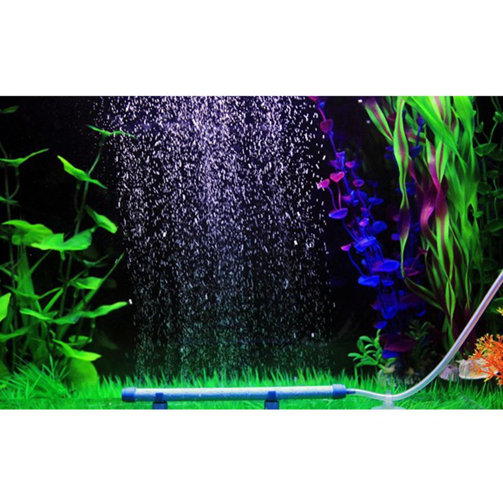 แท่งกระจายออกซิเจนสำหรับตู้ปลา - Non Planted Aquarium Fish บทวิจารณ์และราคา