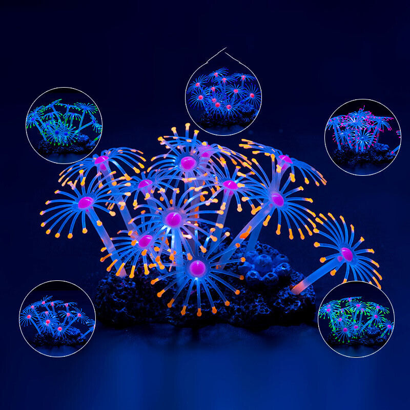 ซิลิโคนเรืองแสงตกแต่งตู้ปลา ปล - Aquarium Plant Live บทวิจารณ์และราคา