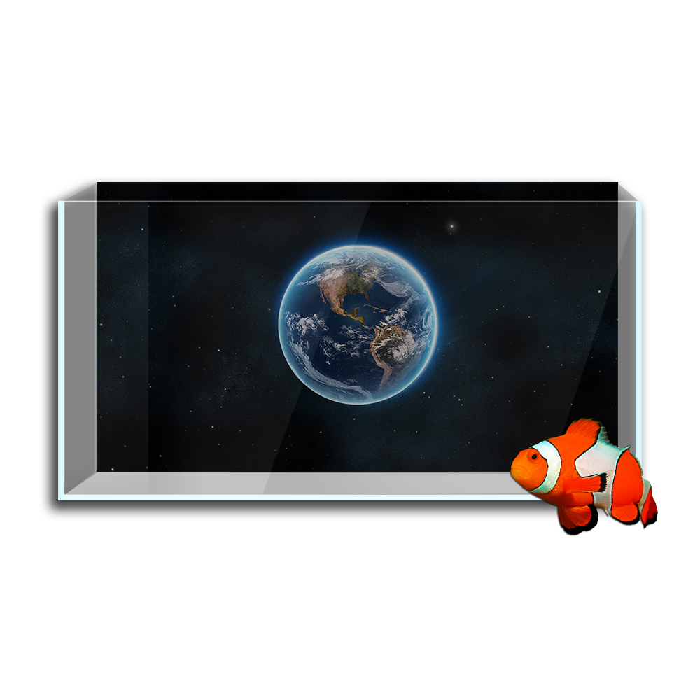 Aquarium Fish Tank สติ๊กเกอร์ต - Aquarium Planet บทวิจารณ์และราคา