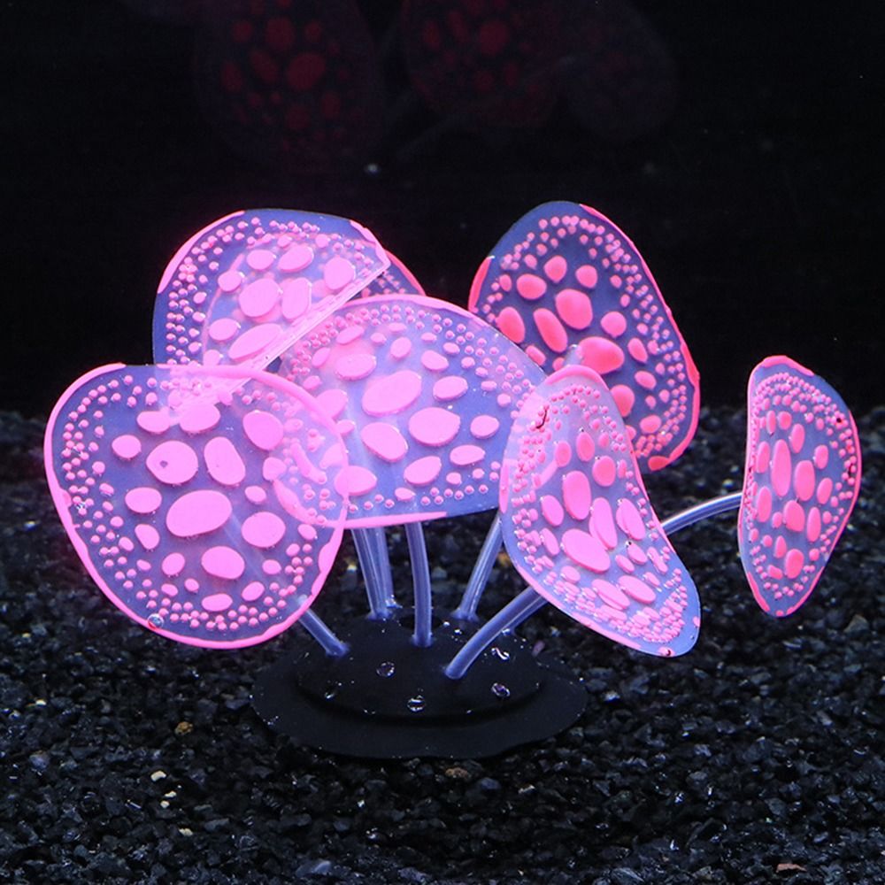 กระถาง Ikan Karang เมฆจำลองทำจ - Aquarium Planet บทวิจารณ์และราคา