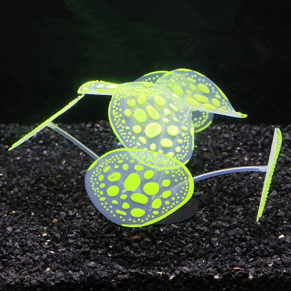กระถาง Ikan Karang เมฆจำลองทำจ - Aquarium Planet บทวิจารณ์และราคา