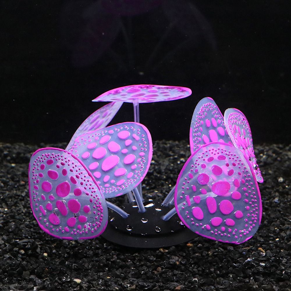 กระถาง Ikan Karang เมฆจำลองทำจ - Aquarium Planet บทวิจารณ์และราคา