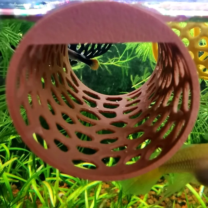 ทุ่นลอยน้ำสำหรับปลาเบต้า, ถ้ำส - Aquarium Plant Live บทวิจารณ์และราคา