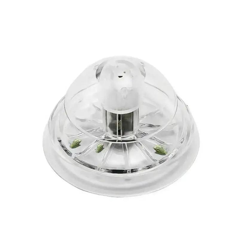 กับดักหอยทากพลาสติกใสขนาด 6/8  - Planted Aquarium With Fish บทวิจารณ์และราคา