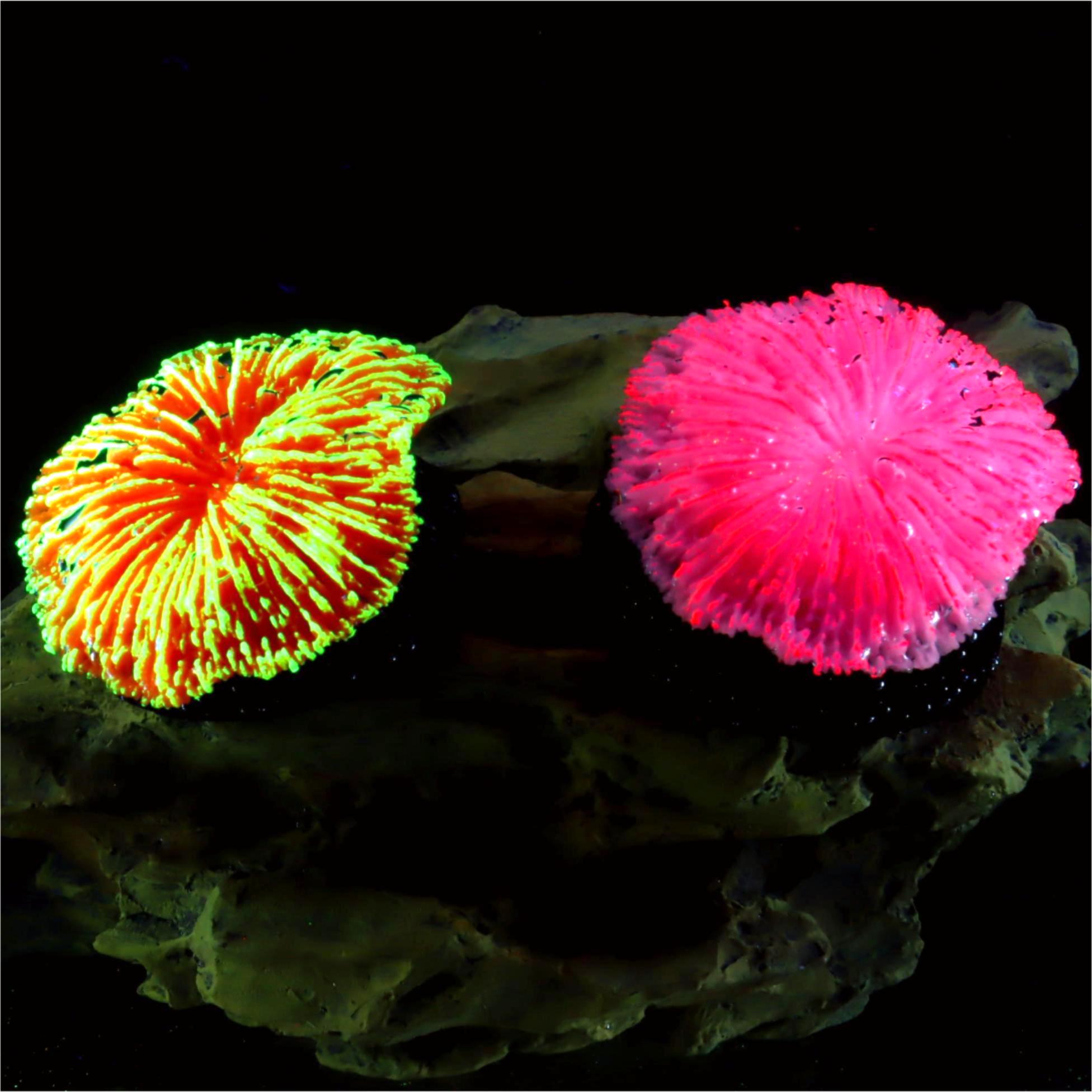 1 piece aquarium decoration sa - Aquarium Planet บทวิจารณ์และราคา