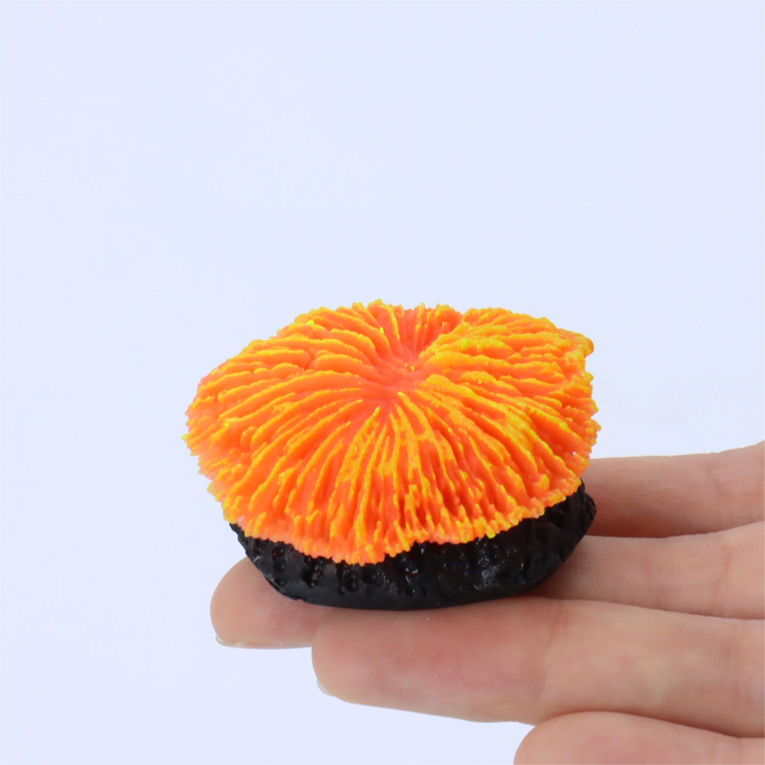 1 piece aquarium decoration sa - Aquarium Planet บทวิจารณ์และราคา