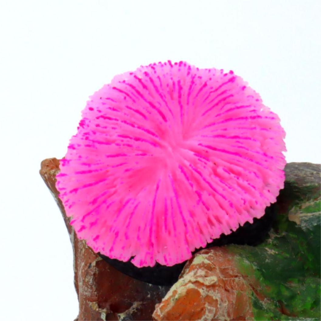 1 piece aquarium decoration sa - Aquarium Planet บทวิจารณ์และราคา