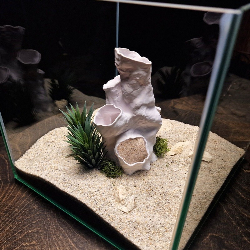 ของตกแต่งตู้ปลา/ตู้เลี้ยงสัตว์ - Aquarium Plants For Sale บทวิจารณ์และราคา