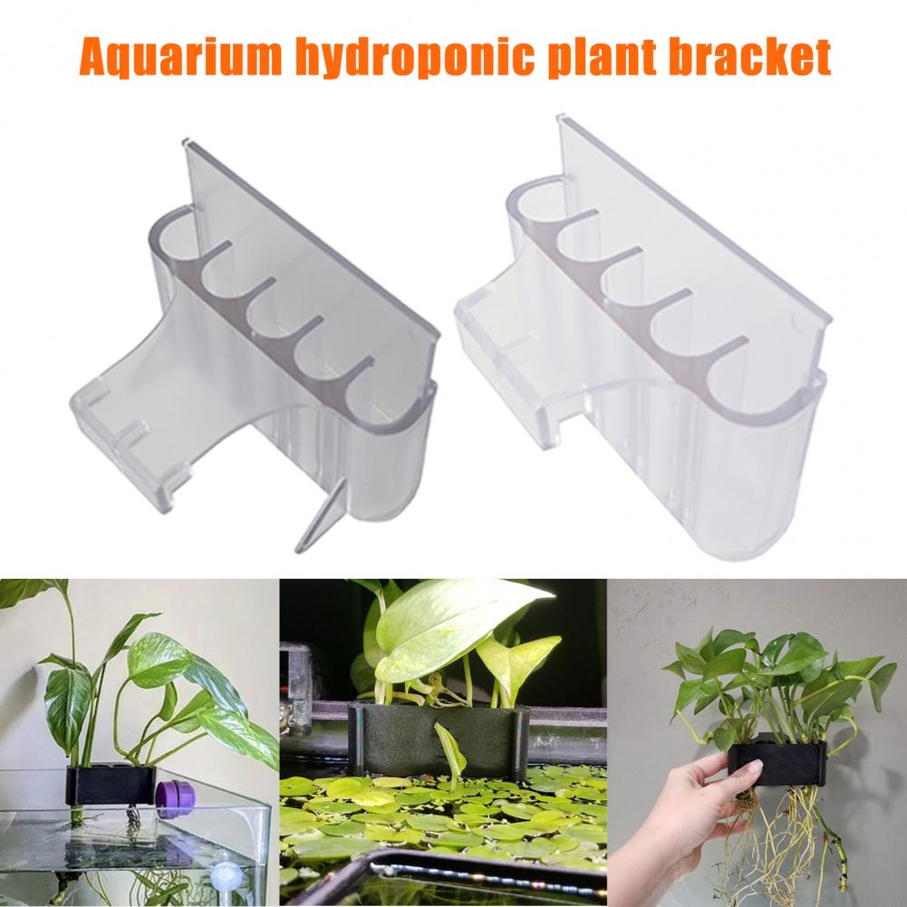 4.5/6.5 ซม.Aquarium Holder ถัง - Aquarium Planted Fish บทวิจารณ์และราคา