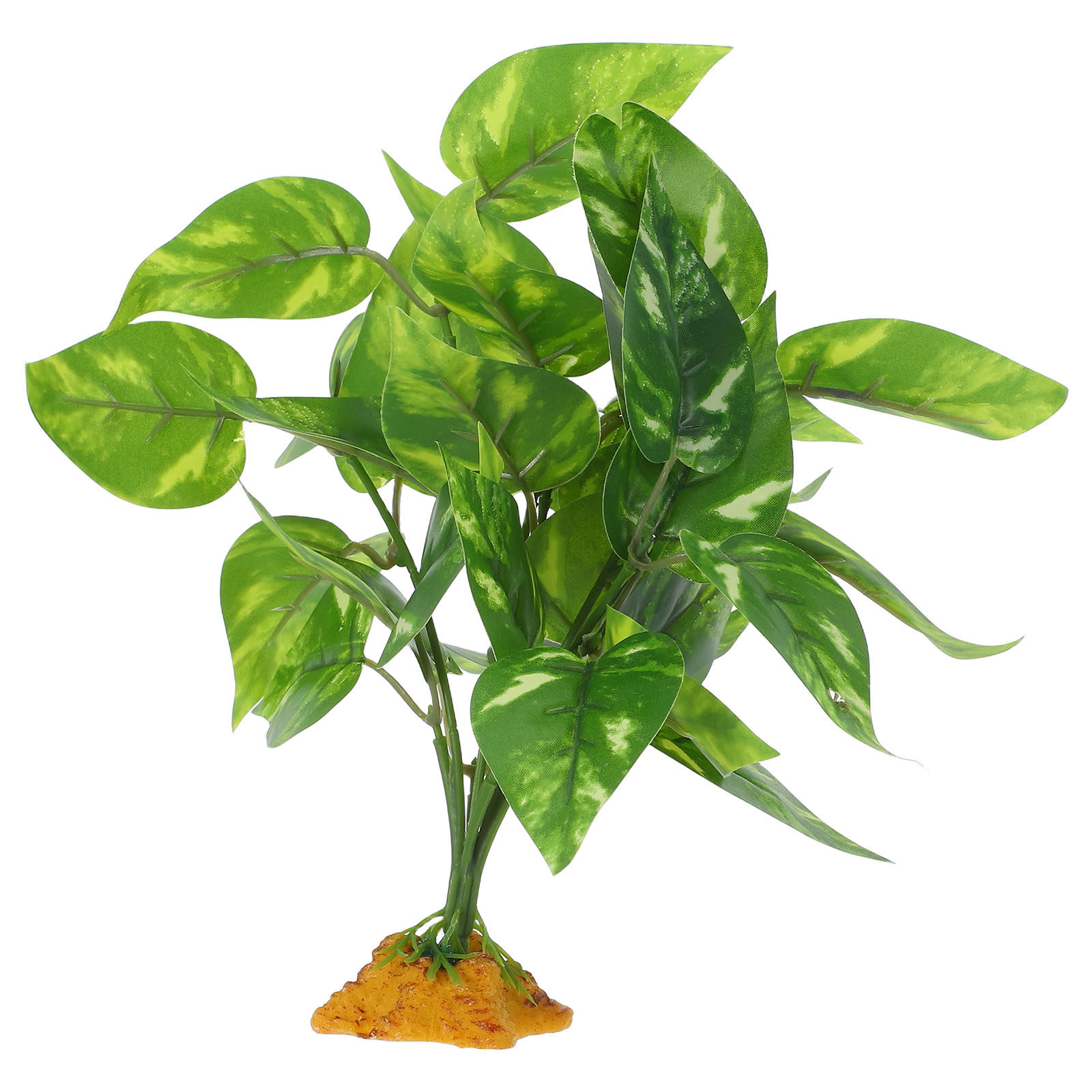 ต้นไม้ประดิษฐ์ปลอดสารพิษ ปลอดภ - Non Planted Aquarium Fish บทวิจารณ์และราคา