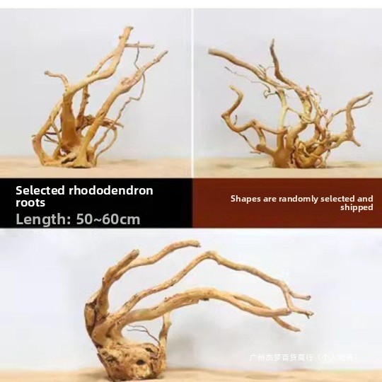 กิ่งไม้ลอยน้ำธรรมชาติสำหรับตกแ - Planted Aquarium With Fish บทวิจารณ์และราคา