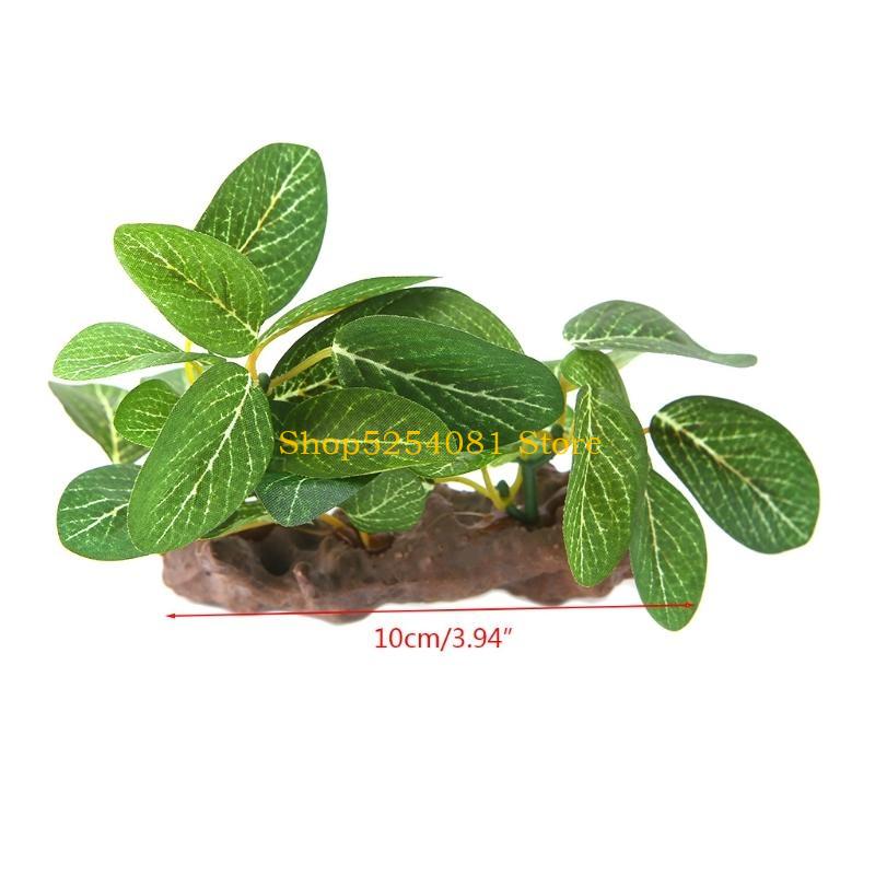 AXYC พิพิธภัณฑ์สัตว์น้ำ ภูมิทั - Non Planted Aquarium Fish บทวิจารณ์และราคา