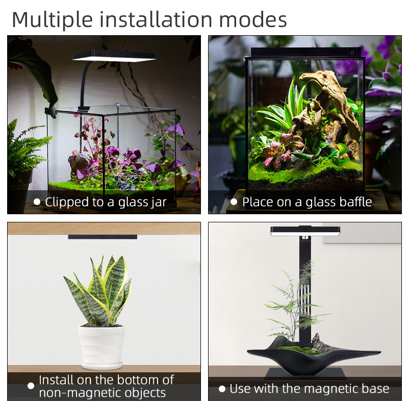 ไฟปลูกต้นไม้ในร่มแบบพกพา Mini9 - Aquarium Plants For Sale บทวิจารณ์และราคา