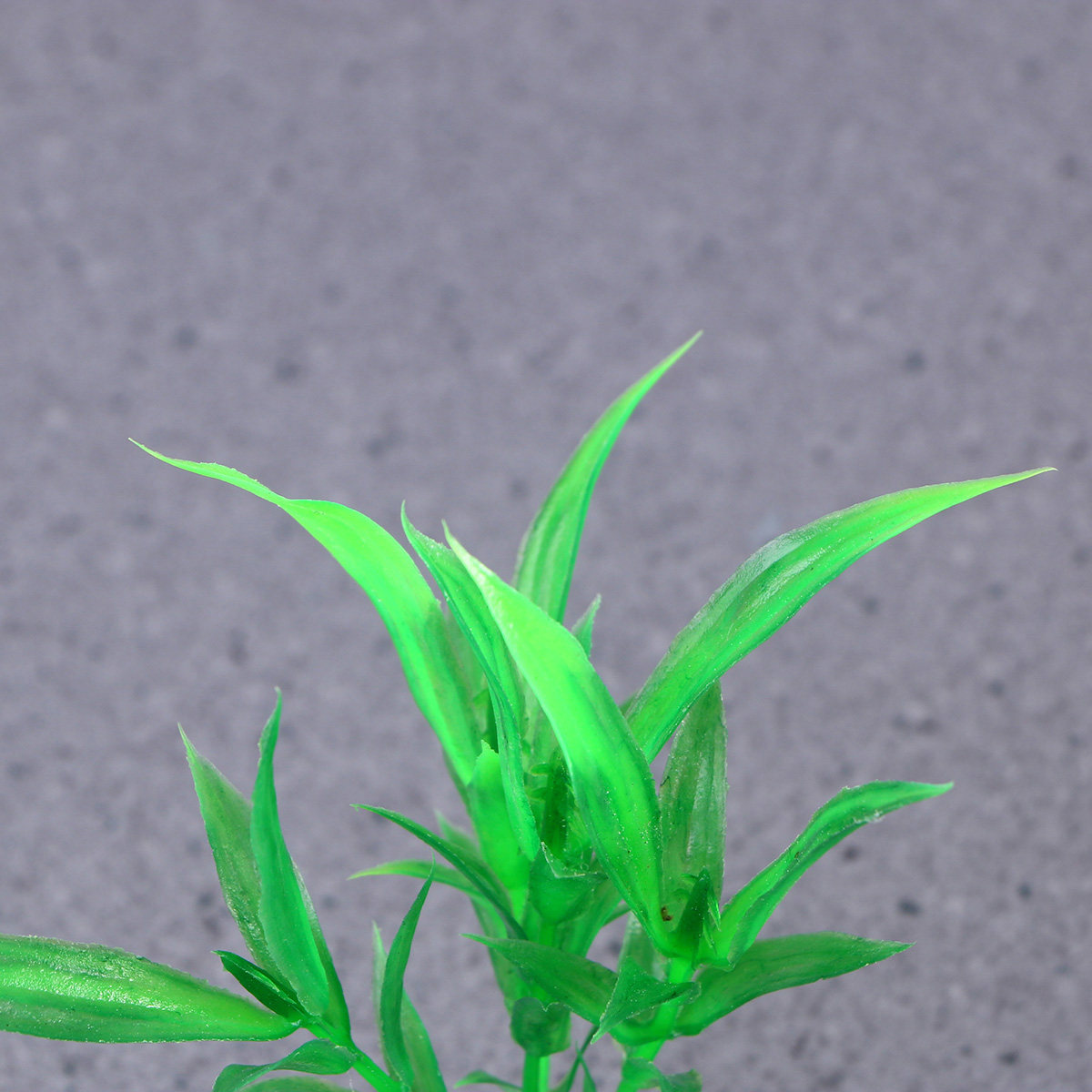 10 ชิ้น ต้นไม้ประดับตู้ปลาจำลอ - Non Planted Aquarium Fish บทวิจารณ์และราคา