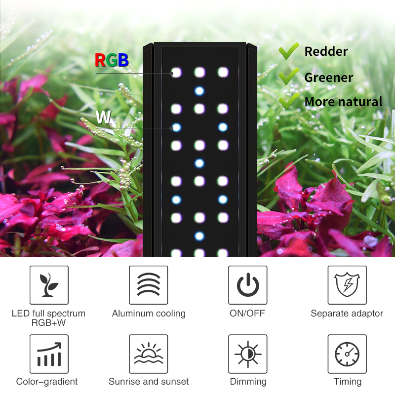 ไฟ LED สำหรับตู้ปลา ZXY Hot Sa - Aquarium Plants For Sale บทวิจารณ์และราคา
