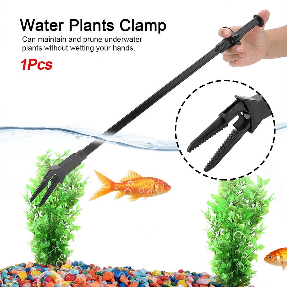 แหนบพลาสติกสำหรับตู้ปลา ขนาด 5 - Non Planted Aquarium Fish บทวิจารณ์และราคา