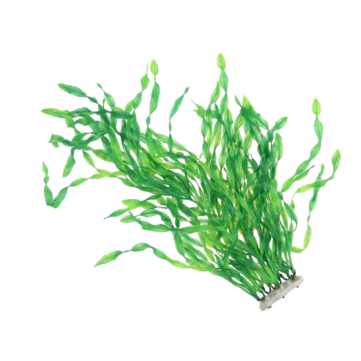 พืชน้ำประดิษฐ์สีเขียว ตกแต่งตู - Non Planted Aquarium Fish บทวิจารณ์และราคา