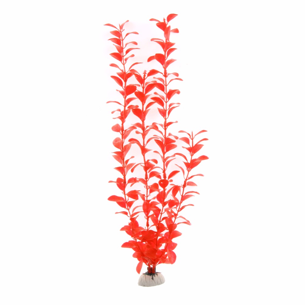 เครื่องประดับอุปกรณ์ตู้ปลาพืชใ - Aquarium Plant Live บทวิจารณ์และราคา