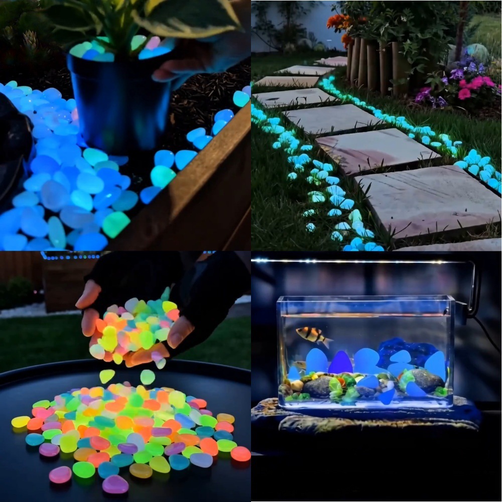 หินเรืองแสงหลากสีสันสำหรับตกแต - Planted Aquarium With Fish บทวิจารณ์และราคา