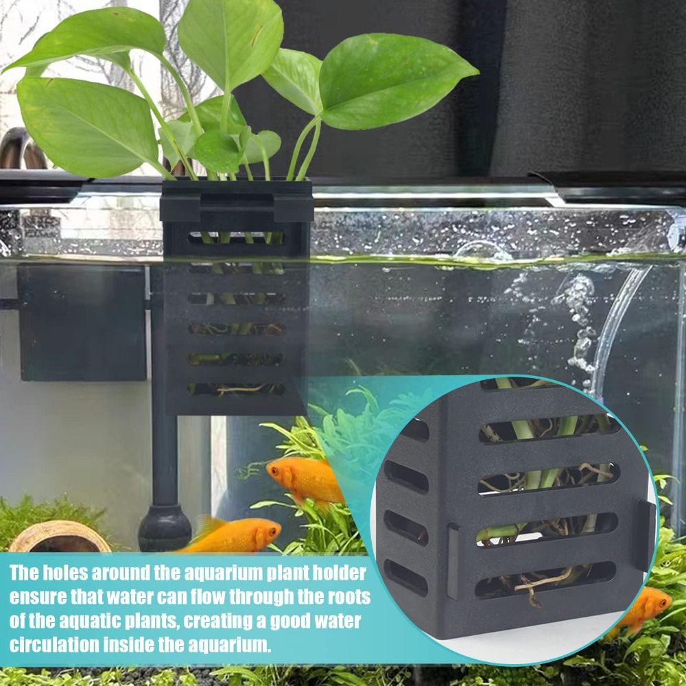 ไฮโดรโปนิกส์ที่ตั้งต้นไม้น้ำสำ - Emersed Plants Aquarium บทวิจารณ์และราคา