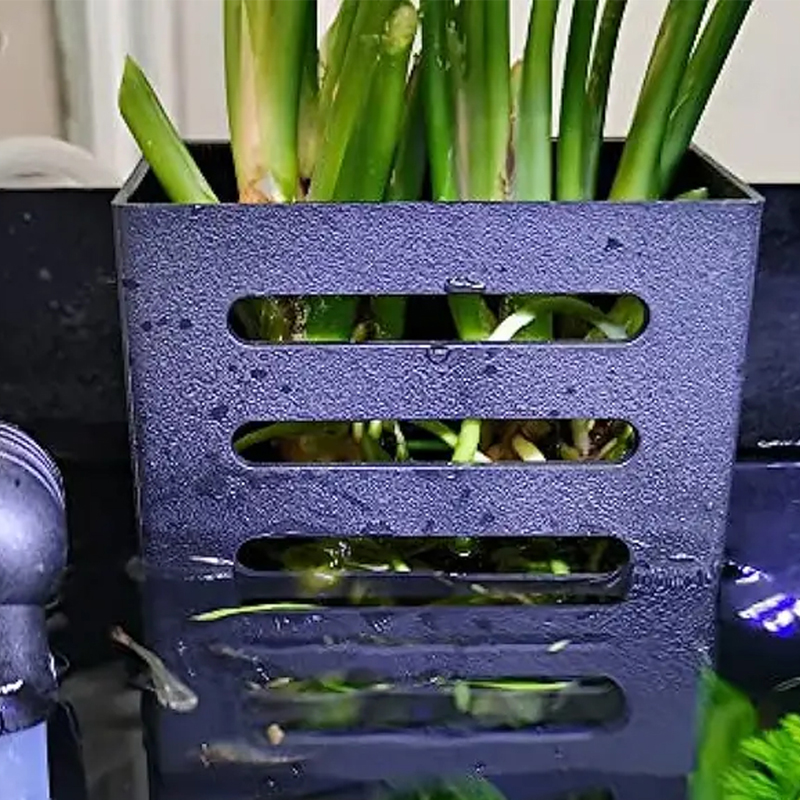 สัตว์เลี้ยงตกแต่งถังปลา Aquari - Aquarium Plant Live บทวิจารณ์และราคา