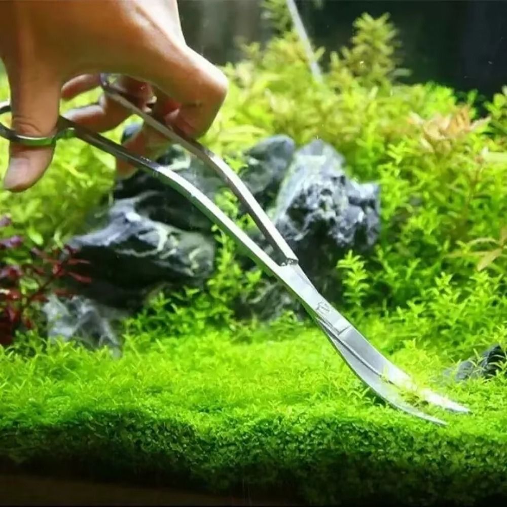 กรรไกรตัดหญ้าในตู้ปลา สแตนเลส  - Aquarium Plant Grass บทวิจารณ์และราคา
