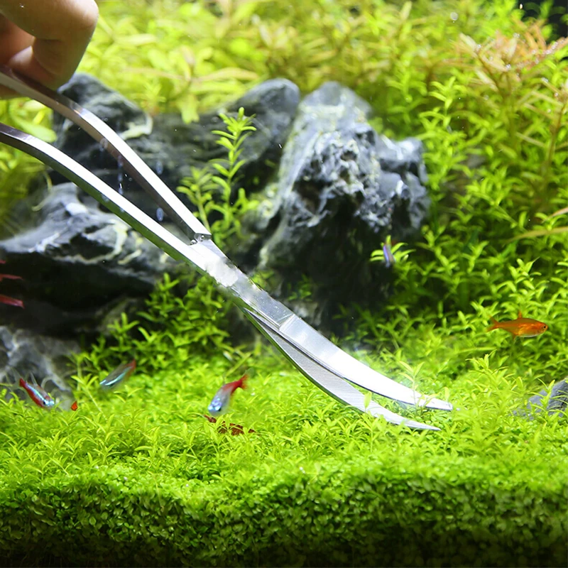 Aquarium กรรไกรเครื่องมือถังปล - Planted Aquarium Maintenance Kit บทวิจารณ์และราคา
