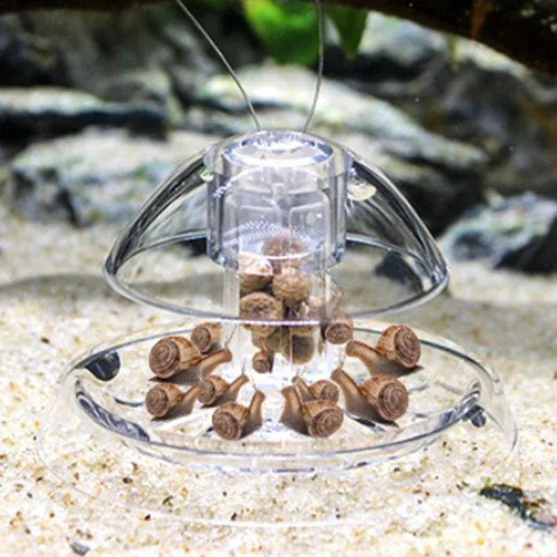 กล่องดักจับหอยทรายและศัตรูพืชใ - Planted Aquarium Maintenance Kit บทวิจารณ์และราคา