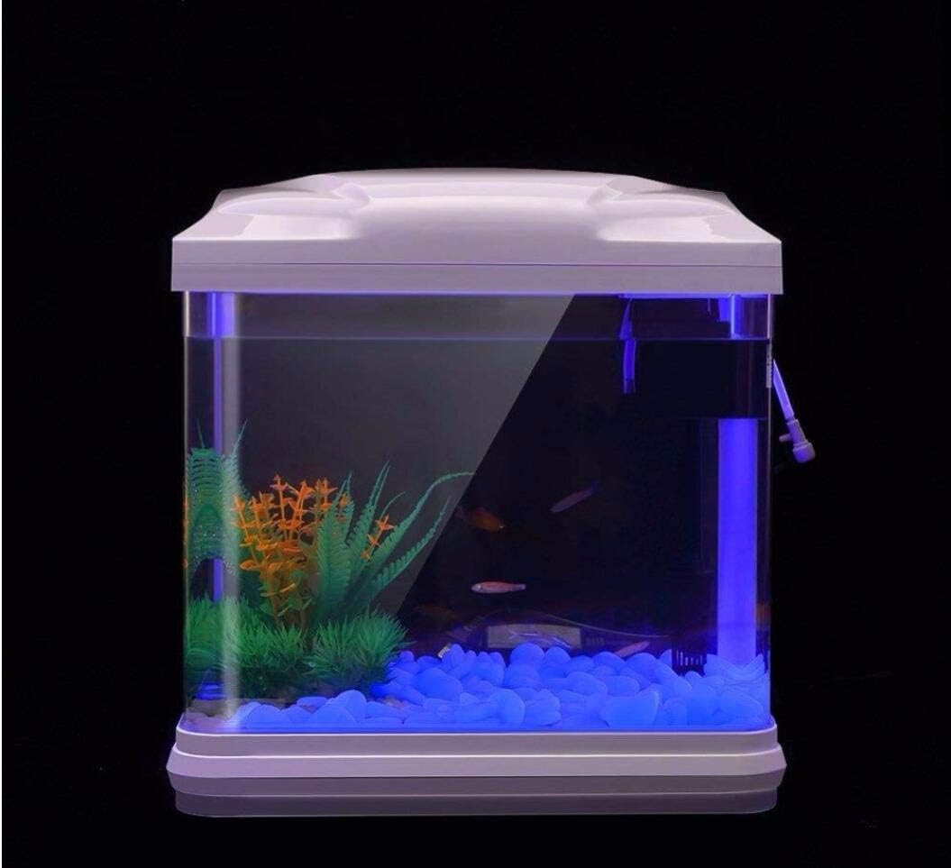 ถังปลา Rocks Glow Blue Pebbles - Aquarium Plants Book บทวิจารณ์และราคา