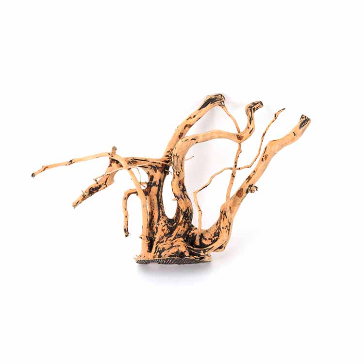 ขายส่งไม้ลอยน้ำตกแต่งตู้ปลาธรร - Aquarium Plants For Sale บทวิจารณ์และราคา