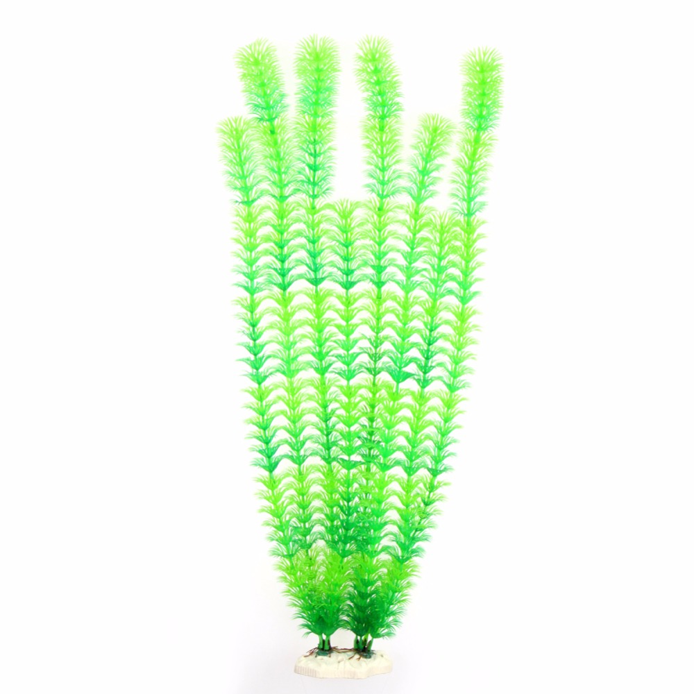 คุณภาพสูง 50 ซม.พืชใต้น้ําประด - Aquarium Plant Live บทวิจารณ์และราคา
