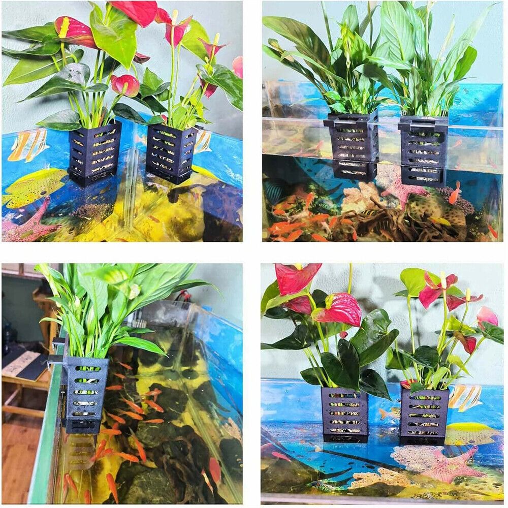 ชั้นวางต้นไม้ในตู้ปลา สำหรับปล - Emersed Plants Aquarium บทวิจารณ์และราคา