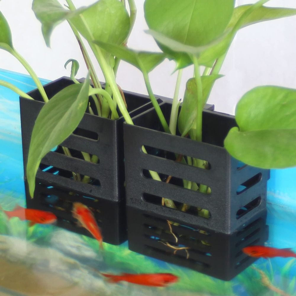 ชั้นวางต้นไม้ในตู้ปลา สำหรับปล - Emersed Plants Aquarium บทวิจารณ์และราคา