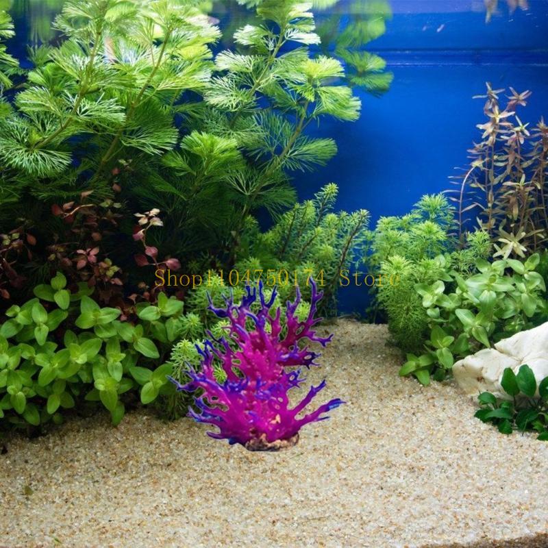 ต้นไม้ประดิษฐ์ตกแต่งต้นไม้ที่ม - Aquarium Plants For Sale บทวิจารณ์และราคา