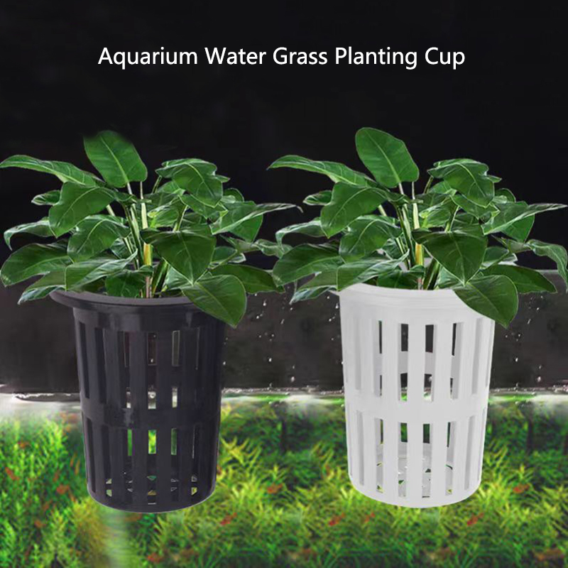 1/3Pcs Aquarium Plantตะกร้าติด - Aquarium Plant Live บทวิจารณ์และราคา