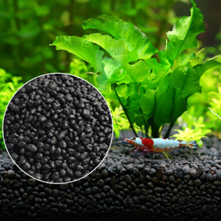 พิพิธภัณฑ์สัตว์น้ำเมล็ดพืชดิน  - Aquarium Plants Book บทวิจารณ์และราคา