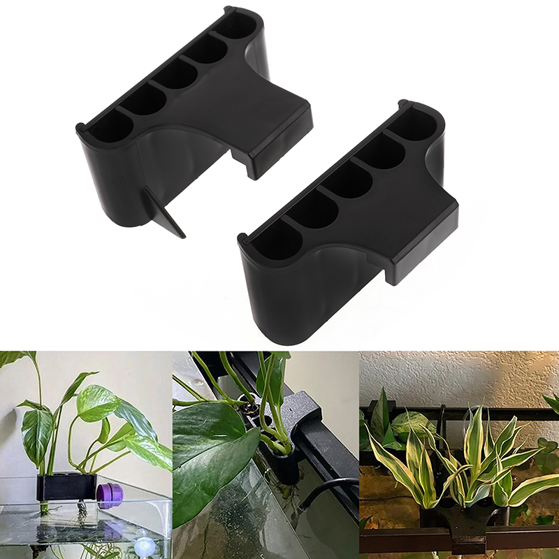 ที่แขวนสำหรับที่ตั้งต้นไม้ตู้ป - Emersed Plants Aquarium บทวิจารณ์และราคา