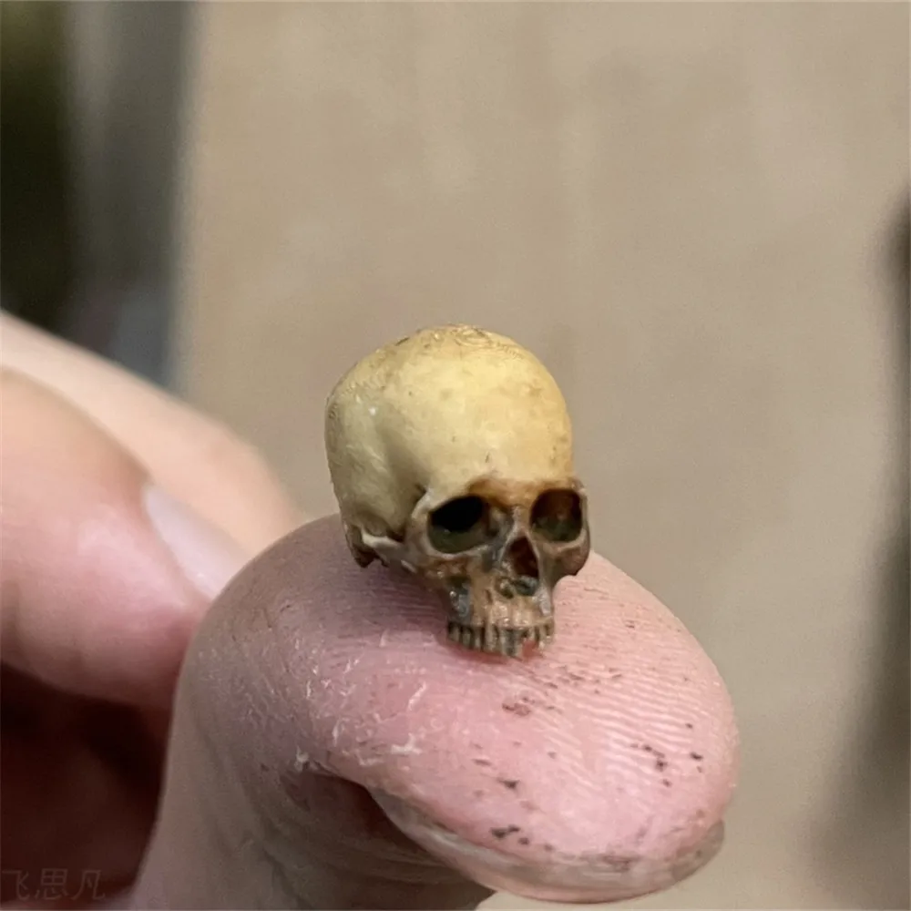 Mini Skull คุณภาพสูง Miniature - Aquarium Plants Book บทวิจารณ์และราคา