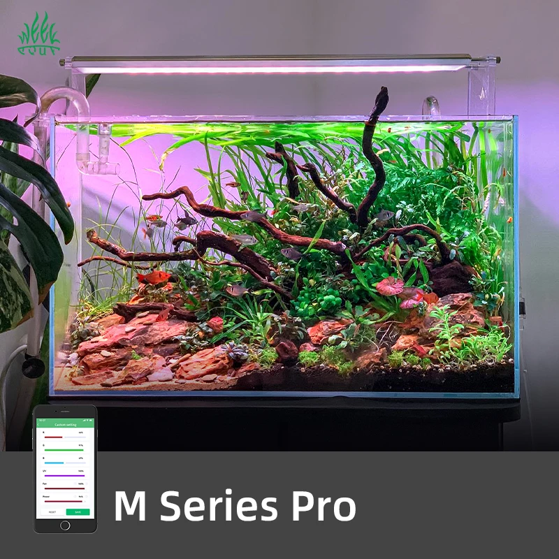 ไฟ LED สำหรับตู้ปลา ZXY Hot Sa - Aquarium Plants For Sale บทวิจารณ์และราคา