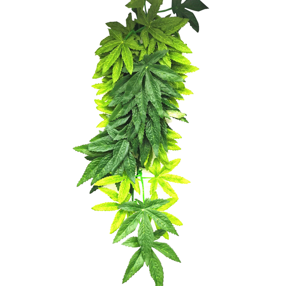 ขายร้อน 30/40/50 ซม.Aquarium ส - Aquarium Plants For Sale บทวิจารณ์และราคา