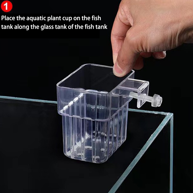 ถ้วยปลูกหญ้าน้ำพิพิธภัณฑ์สัตว์ - Planted Aquarium With Fish บทวิจารณ์และราคา